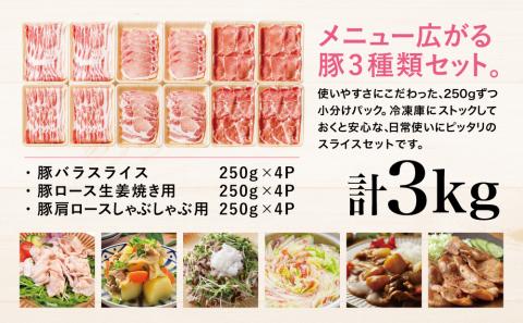 【鹿児島県産】豚肉3種類 計3kg  （250g×12パック）肩ロースしゃぶしゃぶ用・ロース生姜焼き用・バラスライス 国産 豚肉 バラ ロース 冷凍 カミチク 南さつま市