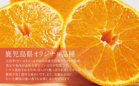 【1月～3月発送】 鹿児島県産 不知火「大将季」（だいまさき）約3kg 果物 フルーツ 柑橘 みかん しらぬい ブランド 常温 JA 南さつま市