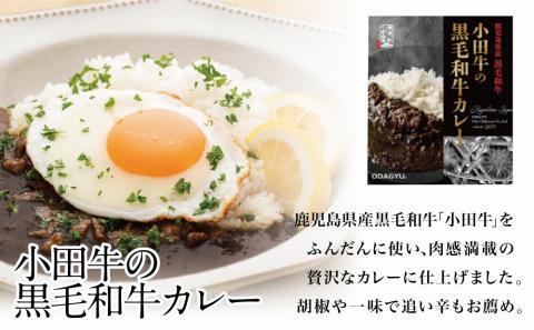 【プレミアムブランド】鹿児島県産黒毛和牛「小田牛」 黒毛和牛カレー 3食（200g×3）