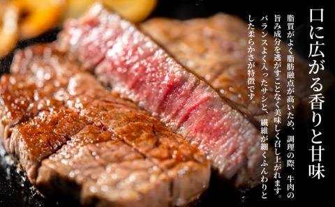 【鹿児島県産】黒毛和牛専門店 焼肉次郎長 A5等級 サーロインステーキ 贅沢サイズ 2人前 約500g 釜炊き塩付き
