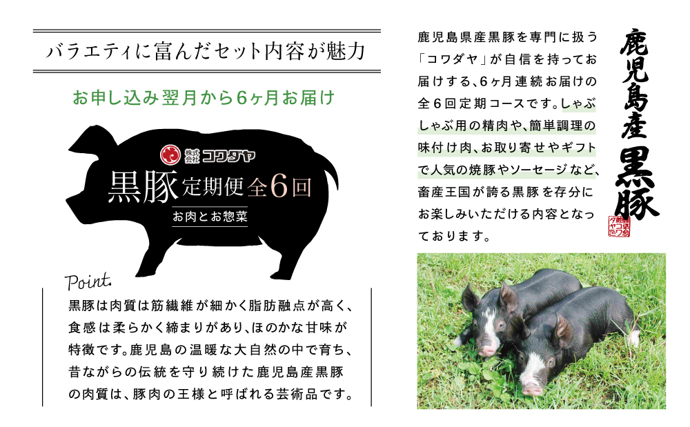 【定期便 全6回】黒豚のプロフェッショナル「コワダヤ」の厳選黒豚味わい尽くしコース しゃぶしゃぶ 生姜焼き 焼き豚 焼豚 ウインナー ソーセージ ロース 切落し 切り落とし 鹿児島県産 冷凍