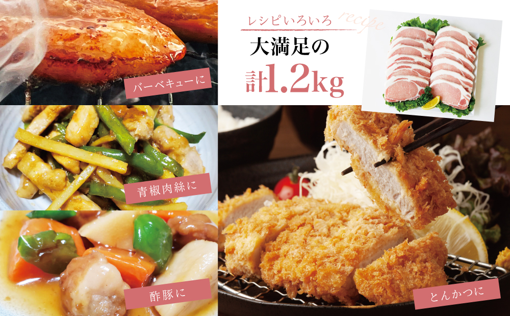 【氷感熟成豚】鹿児島県産 豚ロース とんかつ・ソテー用 計1.2kg