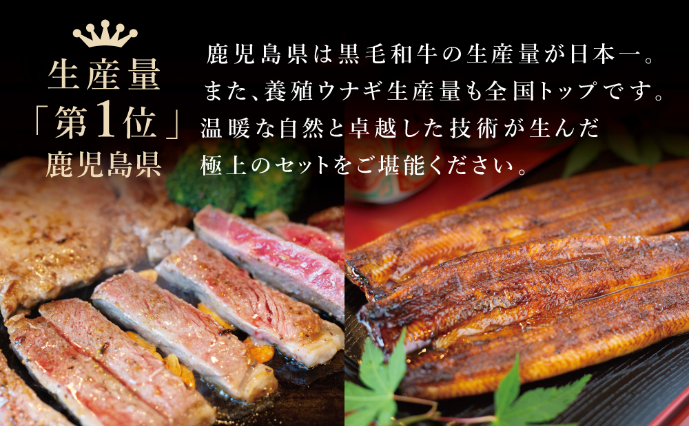 鹿児島県産黒毛和牛サーロインステーキ＆国産うなぎ蒲焼き スタミナセット（同梱発送） 牛肉 サーロイン 国産 鰻 贈答 冷凍 スターゼン ギフト 南さつま市