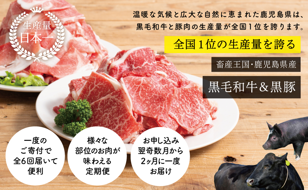 【スターゼン厳選定期便】鹿児島県産黒毛和牛・黒豚定期便（全6回）