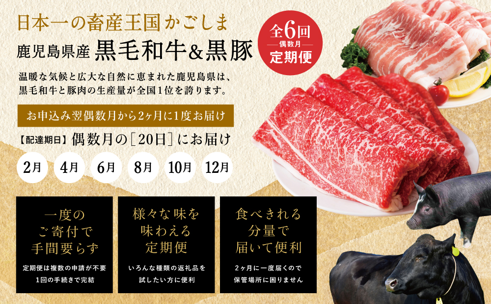 【定期便 全6回】スターゼン厳選お肉の定期便（鹿児島県産黒毛和牛・黒豚）