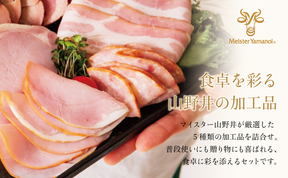 【マイスター山野井】炭焼き焼豚とハムの詰め合わせ（5種） チャーシュー 焼き豚 ロースハム 燻製荒びきポーク ギフト ご贈答 詰合せ 詰め合わせ オードブル 惣菜 おかず おせち パーティー 手土産 ギフト 贈り物 贈答用 冷蔵 南さつま市