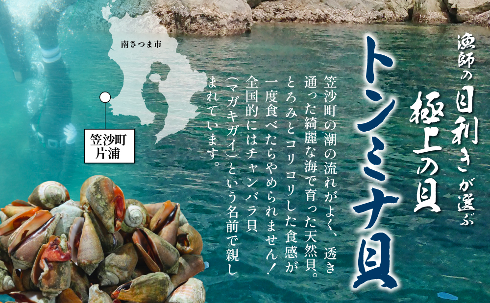 【素潜り漁師直送】【袋に入った冷凍のままでレンジ対応】【南さつま市　笠沙産　天然トンミナ貝】