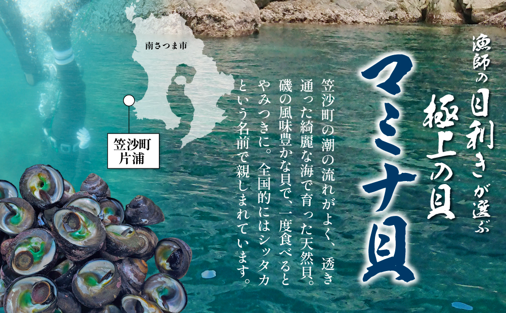 【素潜り漁師直送】【袋に入った冷凍のままでレンジ対応】【南さつま市 笠沙産 天然マミナ貝】