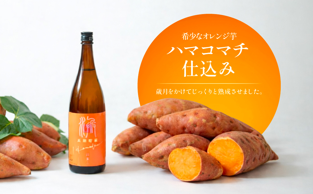 【本格芋焼酎】吹上焼酎 はまこ長期貯蔵（1.8L×1本）一升瓶 本格焼酎 いも焼酎 芋焼酎 はまこ はまこまち お湯割り ロック 水割り ソーダ割り こだわり 匠の技 おすすめ 人気 25度 家飲み 宅飲み 飲み比べ 吹上焼酎 南さつま市