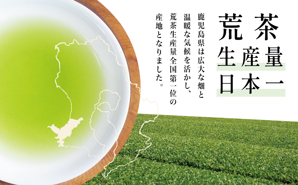【鹿児島県産緑茶】かせだみどり（80g×2袋）ギフト 贈答 鹿児島県産 かごしま お茶 日本茶 緑茶 茶葉 南さつま市 お茶の松山園