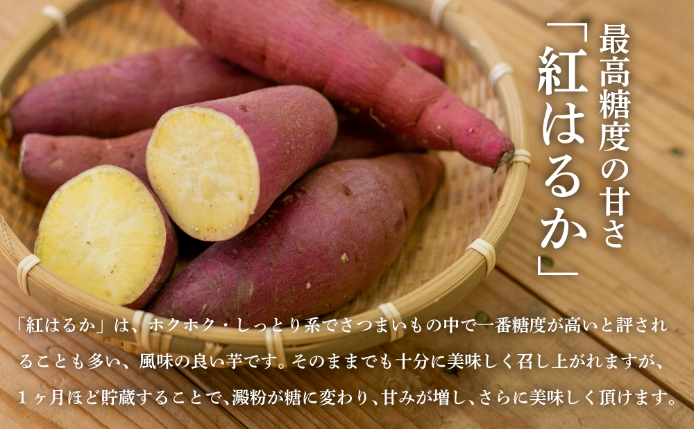 鹿児島県産生さつまいも 「紅はるか」約5kg さつまいも 焼き芋 さつま芋 甘藷 サツマイモ べにはるか スイーツ JA 南さつま市
