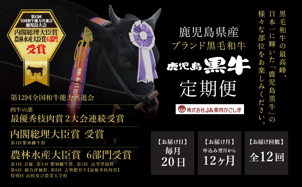 【JA食肉かごしま】鹿児島黒牛定期便（全12回）