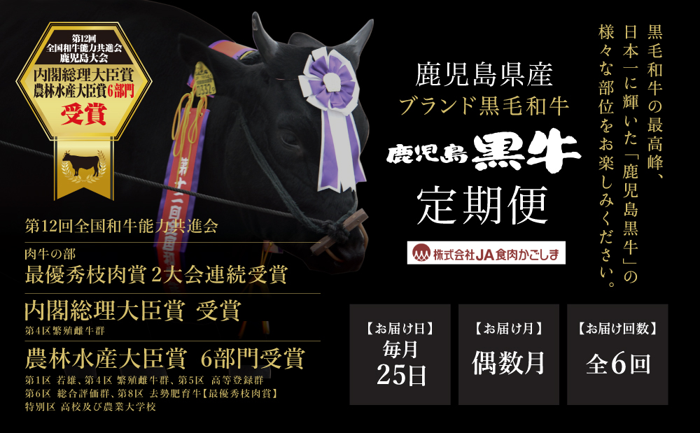 【JA食肉かごしま】鹿児島黒牛 定期便（全6回） かごしまブランド 黒毛和牛 和牛 牛肉 お肉 霜降り 赤身 ステーキ 焼肉 焼き肉 バーベキュー BBQ すき焼き しゃぶしゃぶ 食べ比べ 定期便 JA食肉かごしま 南さつま市
