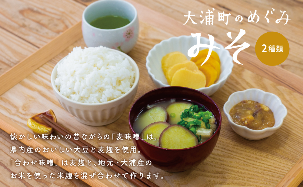 【鹿児島県産大豆使用】麦味噌・合わせ味噌詰合せ 800g×6P