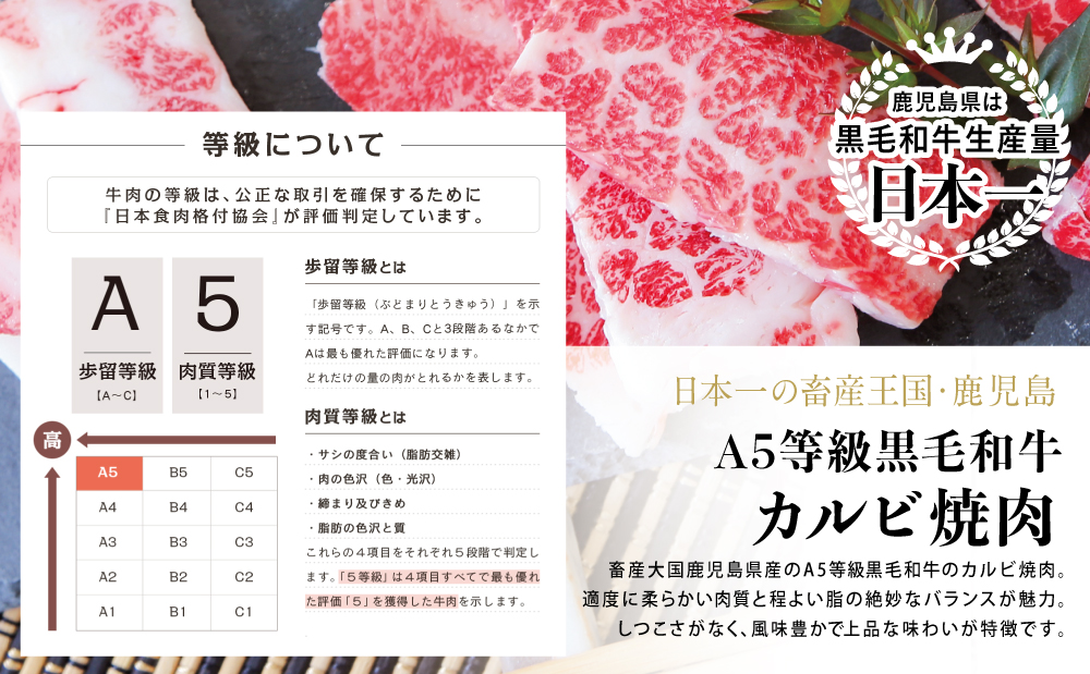 【鹿児島県産】A5等級黒毛和牛 カルビ焼肉 計600g（200g×3P） 国産牛 牛肉 国産 焼き肉 カミチク BBQ バーベキュー アウトドア バラ 丼 プレート 小分けパック 冷凍
