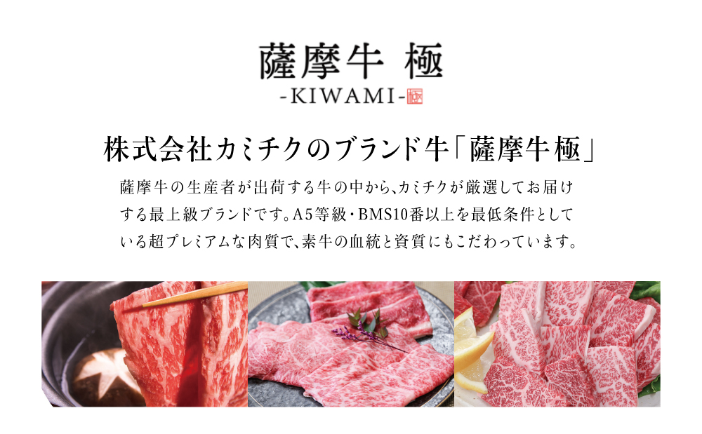 鹿児島県産黒毛和牛「薩摩牛 極」ヒレステーキ 4枚 計600g 国産牛 牛肉 A5 赤身 希少部位 プレミアム グルメ 焼肉 バーベキュー BBQ レア フィレ ブランド牛 お祝い ご褒美 贅沢 カミチク 冷凍
