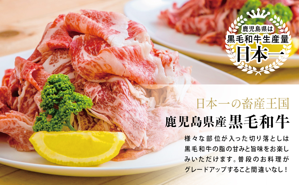 【鹿児島県産】A5等級黒毛和牛切落し 計1kg（250g×4P） 国産牛 牛肉 国産 おかず カレー 牛丼 肉じゃが カミチク 切り落とし 小分けパック 冷凍