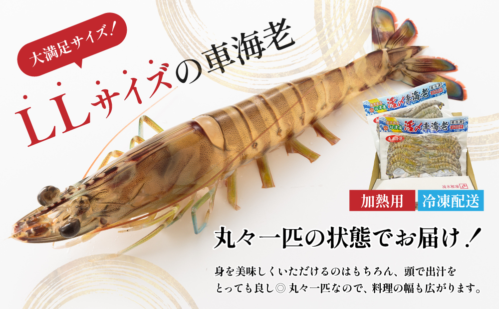 【鹿児島県産】冷凍 車海老 LLサイズ 600g （加熱用） 車エビ 車えび くるまえび 海老 エビ えび 海の幸 海鮮 九州 国産 魚介 魚介類 真空パック 天ぷら エビフライ エビチリ 冷凍 南さつま市