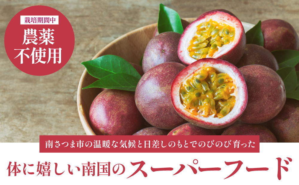 【鹿児島県産】パッションフルーツ 約3kg（10～12個程度×3箱） フルーツ 果物 旬 南国 鹿児島 南さつま市 清直kajuen