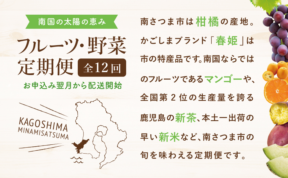 【定期便】南国の恵み 旬のフルーツ・野菜定期便（全12回）  鹿児島県産 果物 フルーツ 柑橘 野菜 お茶 米 コシヒカリ ぶどう 巨峰 マンゴー メロン 定期便