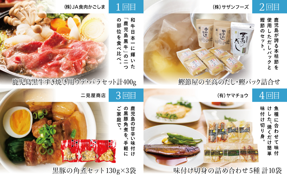 海幸山幸どきどき定期便（全10回）