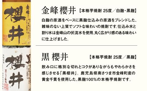 櫻井酒造 本格芋焼酎 飲み比べセット（720ml×2本）【金峰櫻井・黒櫻井】