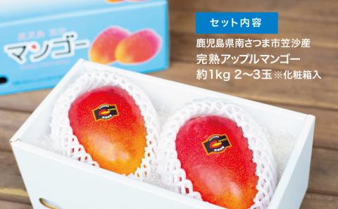 【7月上旬頃出荷開始】鹿児島県産 完熟アップルマンゴー 約1kg（2～3玉）贈答品用 ギフト 果物 フルーツ 国産 鹿児島県南さつま市産 有限会社秀美園