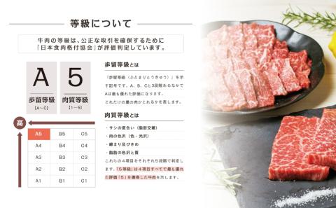 【鹿児島県産】A5 黒毛和牛 赤身ステーキ300g & 赤身焼肉400g