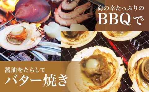 【漁師厳選】希少 鹿児島特産 月日貝 30枚