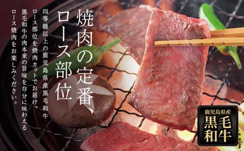【鹿児島県産】黒毛和牛 焼肉用ロース 400g 4等級以上 牛肉 焼肉 バーベキュー BBQ 冷凍 スターゼン 南さつま市