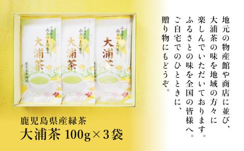 【贈答用】鹿児島県産緑茶 大浦茶 一番茶 3本セット 計300g（100g×3） 鹿児島県産 かごしま お茶 日本茶 緑茶 茶葉 南さつま市 徳留茶農園