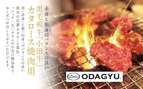 【プレミアムブランド】鹿児島県産黒毛和牛「小田牛」 リブロース すきしゃぶ用＆カタロース 焼肉用（計600g）