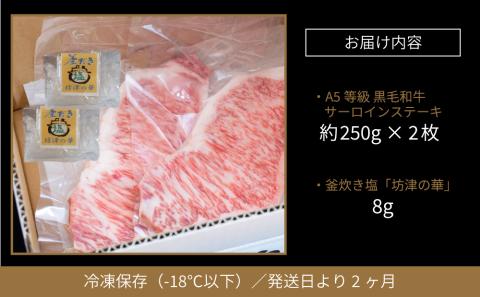 【鹿児島県産】黒毛和牛専門店 焼肉次郎長 A5等級 サーロインステーキ 贅沢サイズ 2人前 約500g 釜炊き塩付き