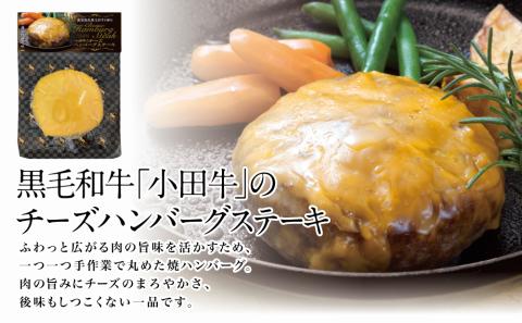 【プレミアムブランド】鹿児島県産黒毛和牛「小田牛」 牛肉100％ 2種類のハンバーグステーキ 計4個（120g×各2個）