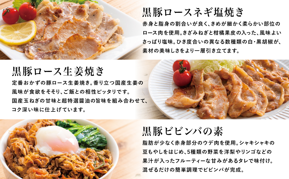 【鹿児島県産】味付け黒豚セット 3種類 計1kg（ネギ塩、生姜焼き、ビビンバ）