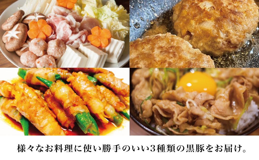 【鹿児島県産】厳選黒豚 便利な3種1.5kg （ロース、モモ、ミンチ） 国産 豚肉 お肉 ハンバーグ カレー しゃぶしゃぶ 小分けパック 詰め合わせ セット 冷凍 コワダヤ