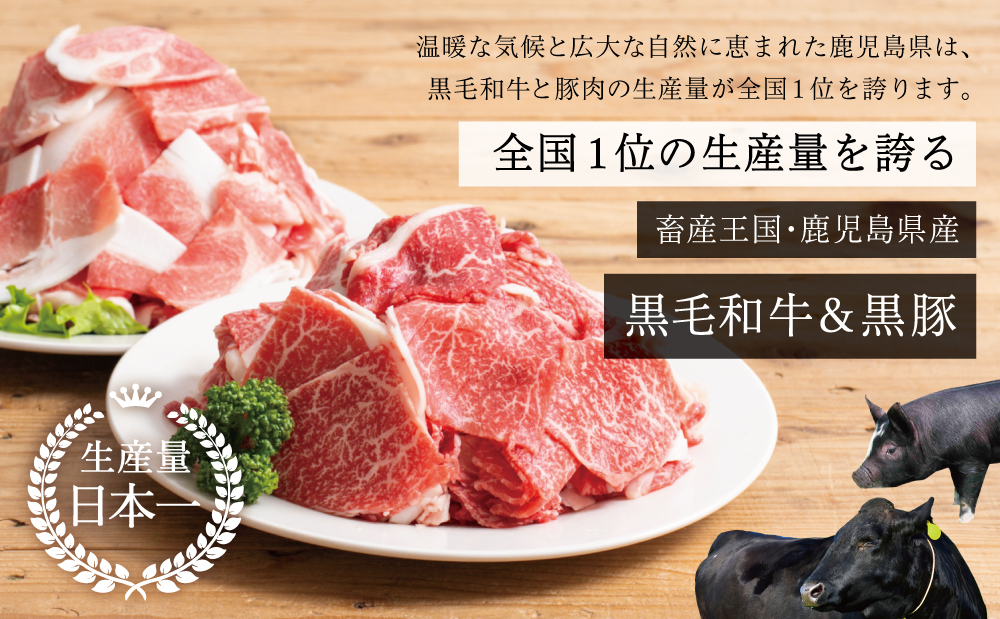 【モリモリ定期便】鹿児島県産 黒毛和牛＆黒豚 切落し 定期便 （全5回）