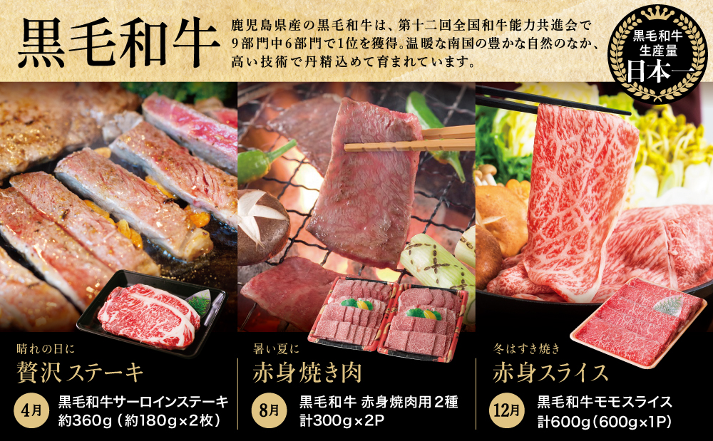 【定期便 全6回】スターゼン厳選お肉の定期便（鹿児島県産黒毛和牛・黒豚）