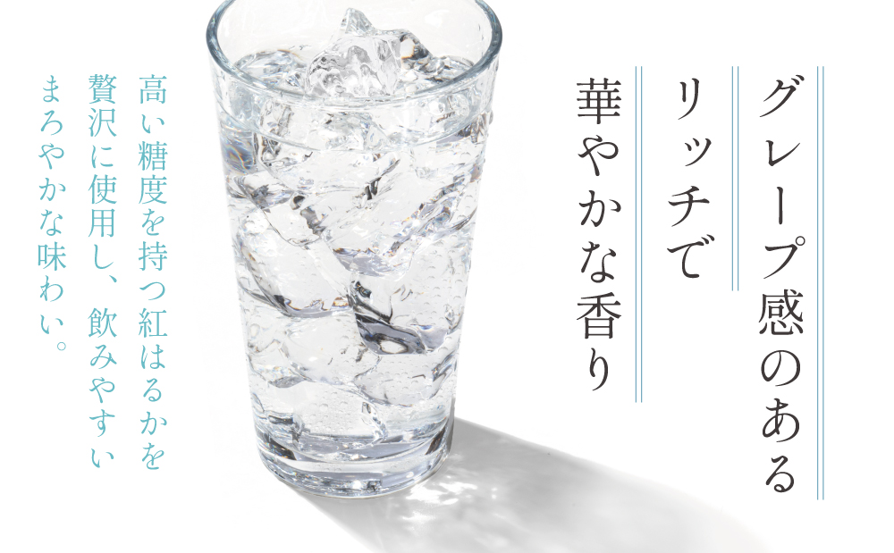本格芋焼酎 「OPNIK」500ml 33% 1本 いも焼酎 芋焼酎 お酒 鹿児島 ロック ハイボール 内祝い 贈答用 ギフト 南さつま市