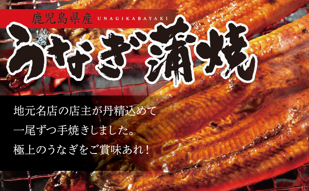 【鹿児島県産】活うなぎの蒲焼2尾 鰻 ウナギ うな重 うな丼 蒲焼 かば焼き 南さつま市