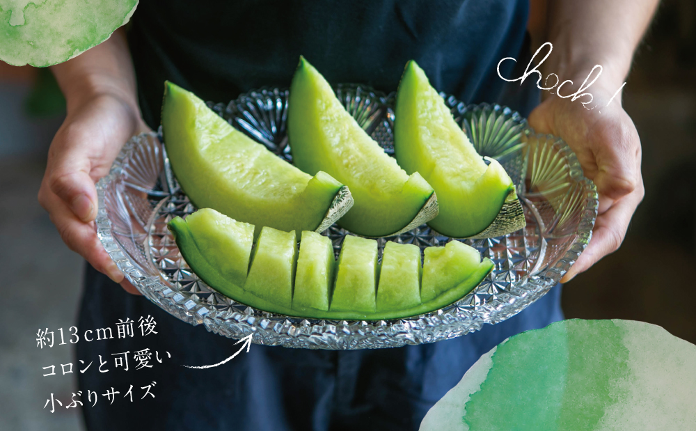◆5月出荷開始・数量限定◆鹿児島県産 マリオネットメロン 4～6玉 フルーツ メロン 果物 JA 南さつま