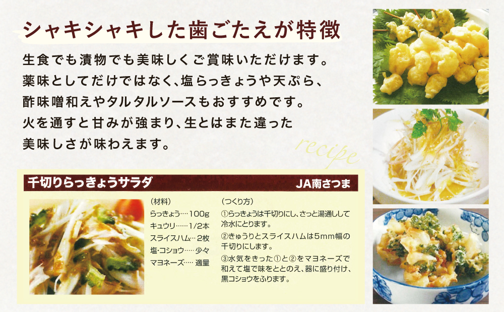 ◆5月中旬発送開始◆【鹿児島県南さつま市産】加世田砂丘らっきょう 約10kg ラッキョウ サラダ 天ぷら かき揚げ 酢味噌 特産品 野菜 旬 期間限定 JA 南さつま市