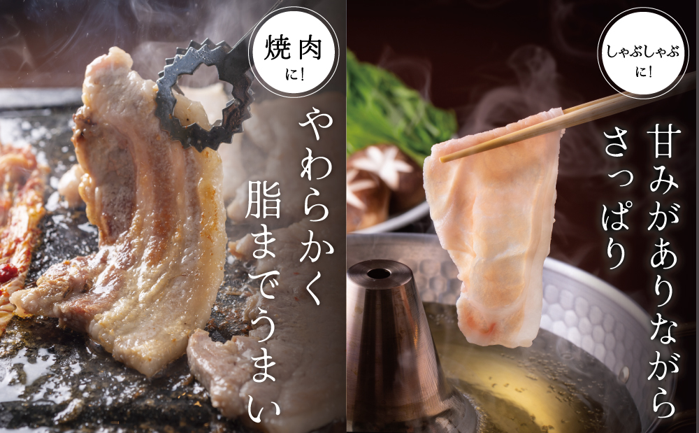 【ブランド黒豚】かごしま黒豚 2種 計600g  ローススライス＆バラ焼肉用