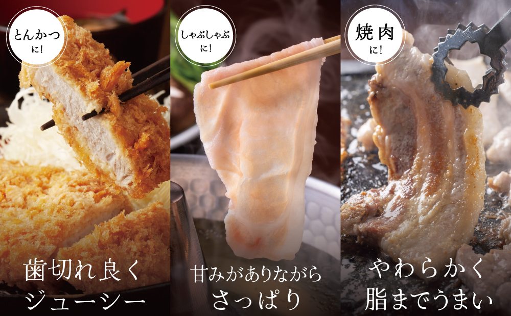 【ブランド黒豚】かごしま黒豚 3種類 計600g バラエティセット