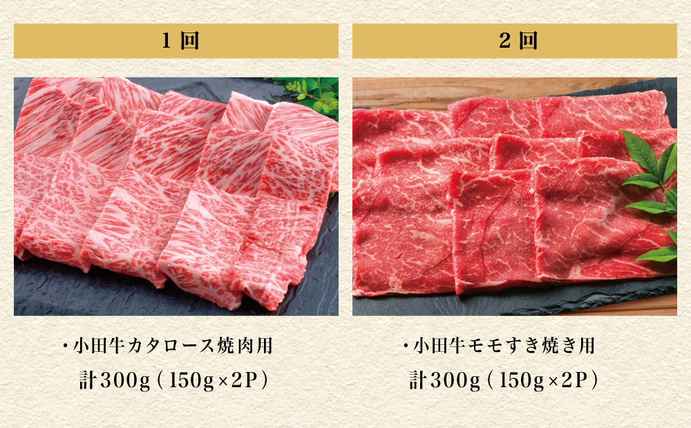 【全5回】プレミアムブランド「小田牛」定期便［肉三昧］ 鹿児島県産 黒毛和牛 ステーキ リブステーキ すき焼き 焼肉 BBQ カタロース カルビ モモ ソース 冷凍 小田畜産 南さつま市