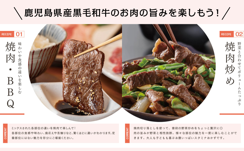 鹿児島県産 A5等級 黒毛和牛 焼肉 切り落とし 計1kg（250g×4P）国産牛 牛肉 和牛 国産 焼き肉 切落し おまかせ サイズ不揃い BBQ バーベキュー 小分けパック 冷凍 カミチク 南さつま市