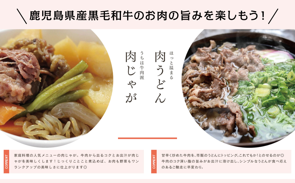 【鹿児島県産】A5等級黒毛和牛切落し 計1kg（250g×4P） 国産牛 牛肉 国産 おかず カレー 牛丼 肉じゃが カミチク 切り落とし 小分けパック 冷凍