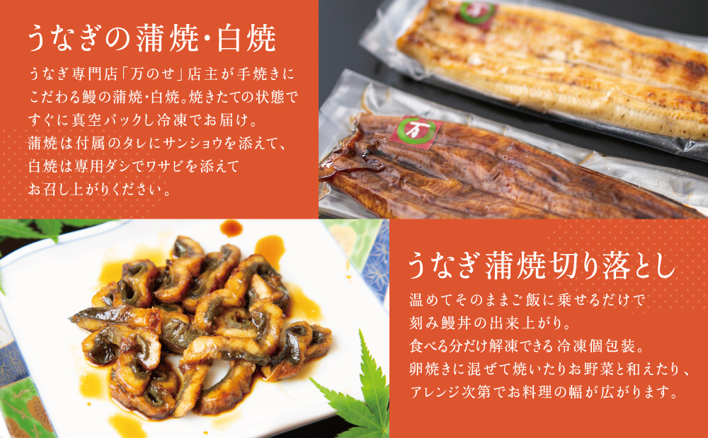 【鹿児島県産】うなぎの「万のせ」鰻満喫セット（4種） 詰め合わせ ギフト 贈答品 鹿児島県産 鹿児島うなぎ 手焼き 鰻 蒲焼き ウナギ うなぎ蒸しおむすび 土用の丑 丑の日