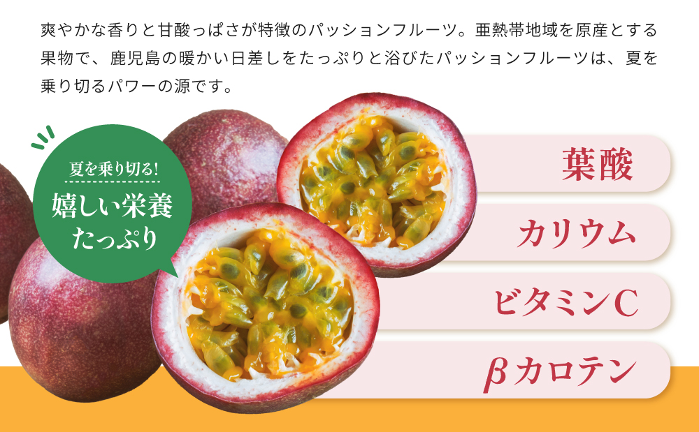 【鹿児島県産】パッションフルーツ 約1kg（10～12個程度） フルーツ 果物 旬 南国 鹿児島 南さつま市 清直kajuen