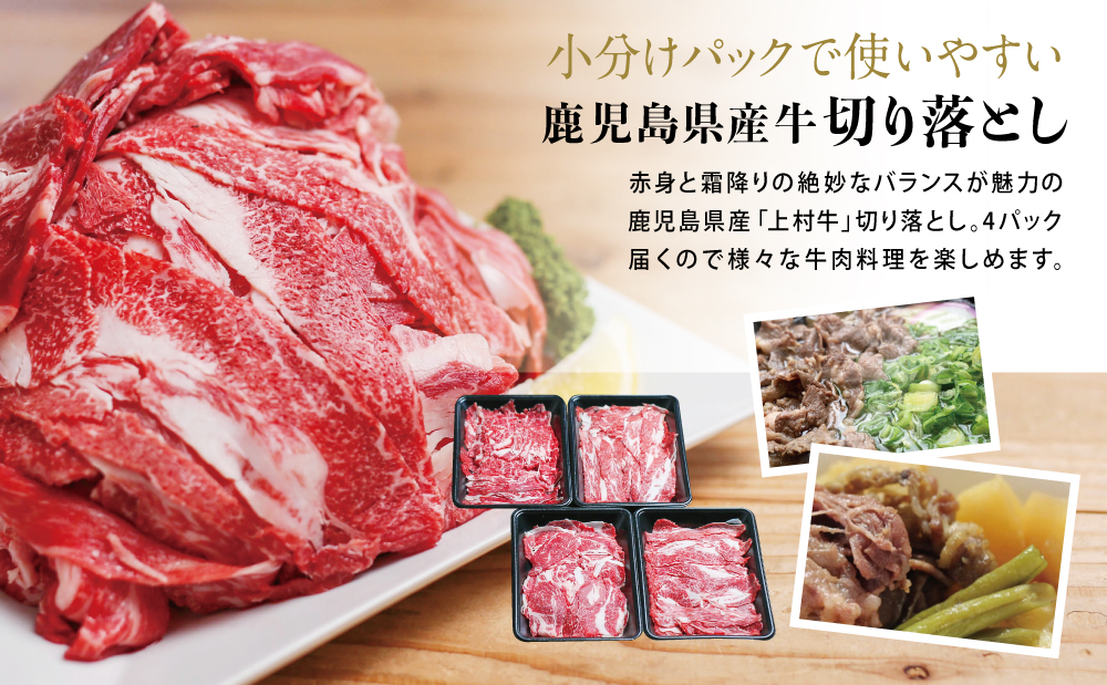 【 定期便 全3回 】 鹿児島県産 便利な牛肉・豚肉定期便 計4.6kg 人気のお肉返礼品を楽しめる 3種類 こま切れ 切落し 切り落とし 鹿児島県産 ブランド牛 牛肉 豚肉 しゃぶしゃぶ ロース 肩ロース 豚バラ バラスライス お肉 冷凍 小分け 定期便 定期配送 セット